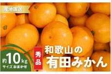 【1月発送】秀品 有田みかん 和歌山県産 S～Lサイズ 大きさお任せ 10kg / みかん フルーツ 果物 くだもの 有田みかん 蜜柑 柑橘【ktn003-1】