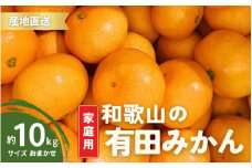【1月発送】家庭用 有田みかん 和歌山 S～Lサイズ 大きさお任せ 10kg / みかん フルーツ 果物 くだもの 有田みかん 蜜柑 柑橘【ktn008A-1】