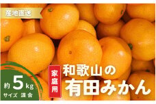 【1月発送】家庭用 有田みかん 和歌山 S～Lサイズ大きさお任せ 5kg / みかん フルーツ 果物 くだもの 有田みかん 蜜柑 柑橘【ktn007A-1】