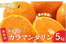 【先行予約】ご家庭用 カラマンダリン なつみ 春のみかん 和歌山 有田 S～2Lサイズ 大きさお任せ 5kg【2025年4月上旬～5月上旬までに順次発送予定】/ みかん フルーツ 果物 くだもの 蜜柑 柑橘【ktn020】