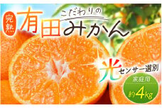 【2025年11月発送予約分】＼光センサー選別／農家直送 こだわりの有田みかん 約4kg＋250g(傷み補償分) 【ご家庭用】【11月発送】みかん ミカン 有田みかん 温州みかん 柑橘 有田 和歌山【nuk148-11】