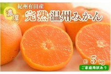 【先行予約】紀州有田産 濃厚完熟 温州みかん 5kg 【家庭用 訳あり】 ※2025年11月下旬頃～2026年1月下旬頃に順次発送予定 / みかん ミカン 蜜柑 温州みかん 柑橘 フルーツ 果物 くだもの 和歌山【uot003】
