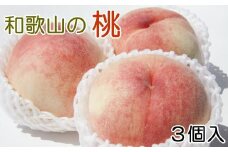 【産直・人気の特産品】和歌山の桃　3玉入り  ※2025年6月下旬～2025年8月上旬頃に順次発送【tec947A】