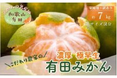 ＜10月上旬～＞【農家直送】濃厚極早生有田みかん（ご家庭用）7kg ※2024年10月上旬～10月下旬頃に順次発送予定【ard070B】