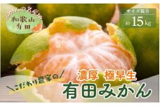 ＜10月上旬～＞【産地直送】濃厚 極早生 有田みかん 15kg  ※2024年10月中旬～10月下旬頃に順次発送予定 ※着日指定不可【ard073B】