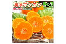 【先行予約】【極甘柑橘】有田育ちの 濃厚 ポンカン（訳あり 家庭用）約3kg ※2025年1月中旬～2月下旬頃に順次発送予定 ※着日指定不可【ard140A】
