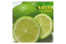 紀州和歌山 ご家庭用 有田レモン 約5kg【防腐剤・ワックス不使用】【農家直送】【訳あり】 ※着日指定不可 ※10月中旬～2月下旬頃に順次発送【ard190A】