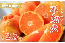 【先行予約】紀州有田産不知火(しらぬひ) 2.5kg ※2026年2月中旬頃～3月中旬頃に順次発送予定（お届け日指定不可）/ みかん 不知火 和歌山 フルーツ 有田【uot794】