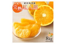 【先行予約】紀州有田産木成り完熟紅八朔８kg ※2026年2月末頃〜2026年3月中旬頃に順次発送予定（お届け日指定不可）/ みかん 不知火 和歌山 フルーツ 有田【uot795】
