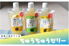 和菓子屋がつくる ちゅうちゅうゼリー 10個入り 梅・柚子・マイヤーレモン味のセット / ゼリー お菓子 菓子　【nit003】