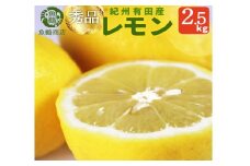 秀品　紀州有田産レモン　2.5kg【予約】※2026年3月上旬頃〜2026年3月中旬頃に順次発送予定(お届け日指定不可) レモン れもん 果物 柑橘【uot776】