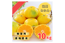 【先行予約】ゆら早生みかん 贈答用 秀品 10kg（2S~2L）【2024年10月上旬から11月上旬までに順次発送】 / みかん 蜜柑 柑橘 果物 フルーツ 早生 秀品 贈答【tmf005】