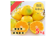 【先行予約】ゆら早生みかん 贈答用 秀品 5kg（2S~2L）【2024年10月上旬から11月上旬までに順次発送】 / みかん 蜜柑 柑橘 果物 フルーツ 早生 秀品 贈答【tmf004】