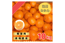 【先行予約】宮川早生みかん 贈答用 秀品 10kg（2S~2L）【2024年11月下旬から12月中旬までに順次発送】 / みかん 蜜柑 柑橘 果物 フルーツ 早生 秀品 贈答【tmf007】