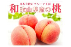 紀州和歌山産の桃　１５玉　化粧箱入 ※2025年6月下旬～2025年8月上旬頃順次発送（お届け日指定不可）【uot780A】