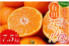 【訳あり】農家直送 有田みかん 約7.5kg ご家庭用 サイズ混合 ※2025年11月中旬より順次発送予定（お届け日指定不可）※北海道・沖縄・離島への配送不可 訳ありみかん みかん ミカン 蜜柑 柑橘 フルーツ 果物 くだもの 温州みかんサイズ混合 訳ありみかん 温州みかん 有機質肥料100% ふるさと納税 柑橘 有田 産地直送【nuk157C】