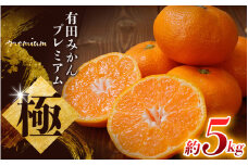 【先行予約】 ＼光センサー選別／極 有田みかんプレミアム 約5kg【光センサー 高糖度選別品】2S～Lサイズ 有機質肥料100% ※2025年11月下旬頃～2026年1月上旬頃に順次発送予定 ※北海道・沖縄・離島への配送不可 【nuk155E】