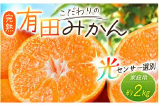 【2025年12月発送予約分】 ＼光センサー選別／農家直送 こだわりの有田みかん 約2kg＋250g(傷み補償分)【ご家庭用】【12月発送】みかん ミカン 有田みかん 温州みかん 柑橘 有田 和歌山 ※北海道・沖縄・離島配送不可/みかん ミカン 有田みかん 温州みかん 柑橘 有田 和歌山 産地直送【nuk159-12】