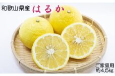 【さわやか柑橘】和歌山県産はるかみかん約4.5kg（サイズ混合　ご家庭用）※2026年2月下旬～2026年3月下旬頃順次発送【tec954】