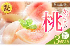 【先行予約】【厳選】あふれる果汁で口いっぱい！ 食べきりサイズ 和歌山県産 桃 3玉 2025年6月末頃～2025年8月末頃に順次発送予定（お届け日指定不可）/ 和歌山 桃 モモ フルーツ もも 白桃 果物 くだもの【kgr002】