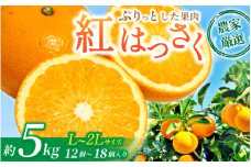 【先行予約】【数量わずか】あふれる果汁！ 希少な紅はっさく 秀品 5kg L～２L 2026年1月初旬～2026年3月末頃に順次発送予定（お届け日指定不可）/ ハッサク 八朔 紅八朔 紅はっさく フルーツ 柑橘 蜜柑 果物 くだもの【kgr006A】