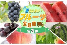 【定期便】夏をお届け！フルーツ定期便！小玉すいか・桃・ピオーネ（全3回）/ フルーツ 果物 すいか ひとりじめ7 もも モモ ぶどう ブドウ  旬 定期便  【tkb345】