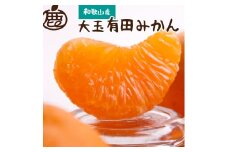 厳選 大きな有田みかん2.5kg+75g（傷み補償分）【光センサー選別】＜11月より発送＞【ikd149A】