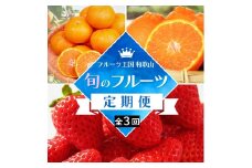 【全3回定期便】フルーツ大国和歌山よりお届け！旬のフルーツ定期便A【田村みかん・まりひめ・紀州デコ】 / フルーツ 果物 みかん いちご  旬 定期便  【tkb350】