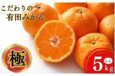 田村みかん並みの甘さ！ こだわりの和歌山県産 有田みかん 5kg（S～Lサイズおまかせ） ひとつひとつ手選別で厳選！生産者から直送 【2025年11月下旬～1月中旬ごろに順次発送予定】 | みかん フルーツ 果物 くだもの 有田みかん 蜜柑 柑橘【hdm005】