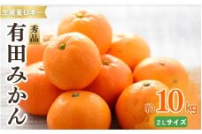 紀州有田みかん 秀品 約10kg　２Lサイズ　※2025年11月下旬～2026年1月中旬頃より順次発送予定【sml129B】