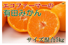 エコファーマーのこだわり有田みかん約5kg(サイズ混合)★2025年11月中旬～2026年1月中旬頃順次発送 【tec961A】