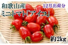 【12月出荷分】和歌山産ミニトマト「アイコトマト」約2kg（S・Mサイズおまかせ）【tec100A-12】