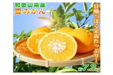 夏みかん 7.2kg　※2026年4月中旬頃～2026年4月下旬頃（お届け日指定不可）【uot775】