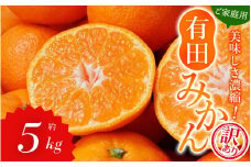 【訳あり】農家直送 有田みかん 約5kg ご家庭用 サイズ混合 ※2025年11月中旬より順次発送予定（お届け日指定不可）※北海道・沖縄・離島への配送不可 訳ありみかん みかん ミカン 蜜柑 柑橘 フルーツ 果物 くだもの 温州みかんサイズ混合 訳ありみかん 温州みかん 有機質肥料100% ふるさと納税 柑橘 有田 産地直送【nuk161B】