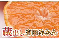 家庭用　蔵出みかん10kg+300g（傷み補償分）【有田の蔵出みかん】【わけあり・訳あり】【光センサー選別】＜1月中旬より順次発送予定＞【ikd179】