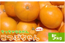 【訳あり】3S ちっちゃな有田みかん 5kg ※2024年11月中旬～2025年1月中旬までに順次発送予定（お届け日指定不可）※北海道・沖縄・離島への配送不可 訳ありみかん みかん ミカン 蜜柑 柑橘 フルーツ 果物 くだもの 温州みかんサイズ混合 訳ありみかん 有機質肥料100% ふるさと納税 柑橘 有田 産地直送【nuk163】