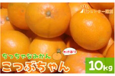 【訳あり】3S ちっちゃな有田みかん 10kg ※2024年11月中旬～2025年1月中旬までに順次発送予定（お届け日指定不可）※北海道・沖縄・離島への配送不可 訳ありみかん みかん ミカン 蜜柑 柑橘 フルーツ 果物 くだもの 温州みかんサイズ混合 訳ありみかん 有機質肥料100% ふるさと納税 柑橘 有田 産地直送【nuk164A】