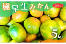 【2024年秋頃発送予約分】【訳あり】こだわりの極早生みかん 約5kg ※2024年10月上旬より順次発送予定（お届け日指定不可） 有機質肥料100% サイズ混合  有田産【nuk165】