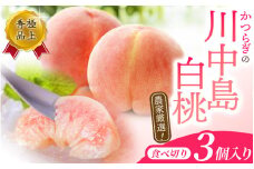 【予約受付】こだわり農家厳選 川中島白桃 和歌山産の桃 <大玉特秀品> 嬉しい食べきり容量 3玉 2025年8月初旬頃～2025年8月末頃に順次発送予定（お届け日指定不可）/ 桃 もも 川中島 白桃 フルーツ 果物 くだもの 【kgr012】