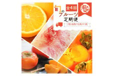 【全4回】紀州和歌山産旬のフルーツ定期便 (バレンシア・桃・ひらたねなし柿・富有柿) 【tkb377】