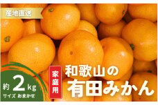 【12月発送】 ご家庭用 有田みかん 和歌山 S～Lサイズ 大きさお任せ 2kg / みかん フルーツ 果物 くだもの 有田みかん 蜜柑 柑橘【ktn005-12】