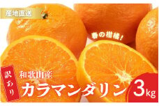 【先行予約】訳あり 有田 カラマンダリン なつみ 春のみかん 2S～3Lサイズ混合 3kg【2025年4月上旬～5月上旬までに順次発送予定】/ みかん フルーツ 果物 くだもの 蜜柑 柑橘【ktn038】