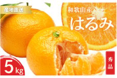 【先行予約】秀品 はるみ 和歌山 有田 S～2Lサイズ 大きさお任せ 5kg【2025年1月下旬～3月下旬までに順次発送予定】/ みかん フルーツ 果物 くだもの 蜜柑 柑橘【ktn045】