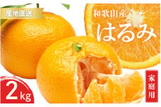 【先行予約】ご家庭用 はるみ 和歌山 有田 S～3Lサイズ 大きさお任せ 2kg【2025年1月下旬～3月下旬までに順次発送予定】/ みかん フルーツ 果物 くだもの 蜜柑 柑橘【ktn049】