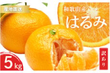 【先行予約】訳あり はるみ 和歌山 有田 2S～3Lサイズ混合 5kg【2025年1月下旬～3月下旬までに順次発送予定】/ みかん フルーツ 果物 くだもの 蜜柑 柑橘【ktn050】