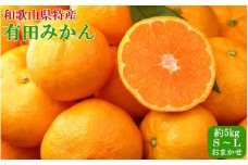 [秀品] 和歌山有田みかん 約5kg（S～Lサイズおまかせ） ★2024年11月中旬～12月下旬頃より順次発送予定 / みかん 有田 和歌山 フルーツ 果物 柑橘 くだもの 有田みかん ミカン おすすめ 【tec970】 