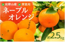 ＜2月より発送＞家庭用 ネーブルオレンジ2.5kg+75g（傷み補償分）【訳あり・わけあり】【光センサー選別】 ※北海道・沖縄・離島への配送不可【ikd202】