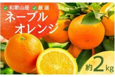 ＜2月より発送＞厳選 ネーブルオレンジ2kg+60g（傷み補償分）【光センサー選別】 ※北海道・沖縄・離島への配送不可【ikd201】
