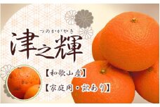 ＜2月より発送＞家庭用 津之輝1.5kg+45g（傷み補償分）つのかがやき【わけあり・訳あり】【光センサー選別】※北海道・沖縄・離島への配送不可【ikd204】