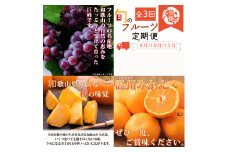 【全3回】紀州和歌山産旬のフルーツセット(巨峰・ひらたね・みかん)  / 果物定期便 フルーツ定期便 みかん オレンジ 柑橘 くだもの 果物 かき カキ ぶどう 巨峰 【tkb397】